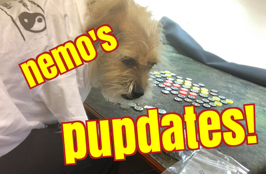 Nemo's Pupdates!
