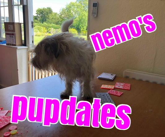 Nemo's Pupdates!